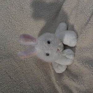 Webkinz Rabbit